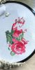 IMG_20240321_133721.thumb.jpg.30c1093e75be0c99924e4a0b0b5a4457.jpg