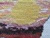 IMG_20240327_094504.thumb.jpg.71d512f7186cbf69d4a57d207f51d141.jpg