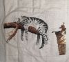 IMG_20240331_132047.thumb.jpg.c0357ba4a375eab38a316576ef135a21.jpg