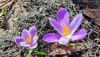 IMG_20240403_140142.jpg