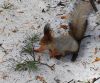 IMG_20240405_143003.thumb.jpg.2917bf9f79866af3c965ad9895b9ebff.jpg