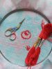 IMG_20240411_134914_811.thumb.jpg.9dc049913785cb24b8c5d9f48713d31e.jpg