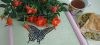 IMG_20240417_163250.thumb.jpg.3958afb8abf5a85db47e8cfc69d76586.jpg