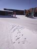 IMG_20240423_094845.thumb.jpg.0cfb4fb83496b651dbc32520e656b1e0.jpg