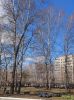 IMG_20240423_141858.thumb.jpg.61f2d065882176ac3552b381c2778f53.jpg