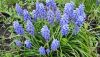 IMG_20240429_130520.jpg