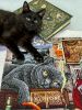 IMG_3334.jpeg.93f790eb9e6a800e51d27f28164fe622.jpeg