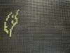 IMG_5662.jpeg