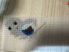 IMG_5868.jpeg