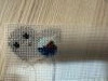 IMG_5869.jpeg