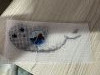 IMG_5874.jpeg