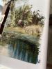 IMG_6022.jpeg