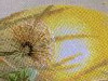 IMG_7331.thumb.JPG.046526e1c7e62a7a50e31a5e90dc1912.JPG?1714458091340