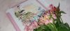 tINKvATjGMg.thumb.jpg.dc4a875cc1a7e96eccc4f17bb8e065c6.jpg