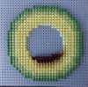 04_2024_05_01_2.jpg.e86f63c3d1c712dc315cbe00526a4b30.jpg