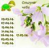 112136502_13.thumb.jpeg.521d78cd9b6e19f2f7106197360ab4e4.jpeg