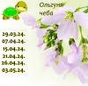 1161472154_13.thumb.jpeg.be005b466a7eef1da858470389ee95e9.jpeg