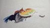 1330407374_.thumb.jpg.12c09e6b5f69d8c7fe263c66fa0ccd94.jpg