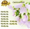 1414644443_2.thumb.jpeg.de984c391e1bd9b739cddba83ddf0de3.jpeg