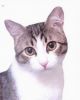 1631048194_.thumb.jpg.0f4b152763daf0ca04f4da498715901a.jpg