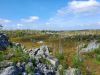 1639004289_19-priroda-club-p-gora-vottovaara-kareliya-priroda-krasivo-f-19.thumb.jpg.abc9fa461cf4637835da150ccea9ab41.jpg