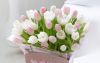 1686989993_hakkon-club-p-otkritka-s-dnem-rozhdeniya-tyulpani-krasiv-3.thumb.jpg.b2da62be013022f2e874d150778ef1ae.jpg