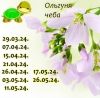 1984360881_13.thumb.jpeg.73eb2604464fb4ad9d92ee1c6262bbf9.jpeg