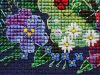 20240408_070955.thumb.jpg.b0e041124b7e10b5c78a8b173b1916d6.jpg