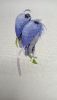 20240506_232851.thumb.jpg.cf8febb6a06d3ca46a0fadfe3c6a1ddc.jpg