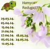 2135298153_16.thumb.jpeg.c4819319bf354e6215ffe9c9af9f823d.jpeg