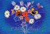 27-4.thumb.jpg.3ef2cfa450d4a2b49c75eb4bacb9a5b1.jpg