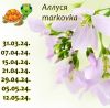 289279897_1.thumb.jpeg.7dbc5d51ab8250fc5f1a8cd0b77378d3.jpeg