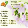 289709904_1.thumb.jpeg.ac5fe337eae3d7346412c083f4f6966f.jpeg