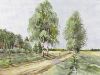 Волкова Екатерина #30968, Просёлок