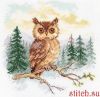58061.thumb.jpg.ac643acdee264ca32dcc1a360808a3dd.jpg