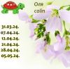 663488121_8.thumb.jpeg.c60cf81c0ce8dc159be37bc4cd4755e1.jpeg