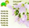 726054764_13.thumb.jpeg.4cdb27dedf5356d59307375851697ff4.jpeg