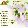 759281691_6.thumb.jpeg.de88d4eb72bd8d5f404b1d7b8099afea.jpeg