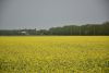 DSC_0683.thumb.JPG.ec3fcc17ce7f5e03a815406ff0758ecd.JPG