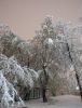 IMG-20240504-WA0012.thumb.jpg.b62a0f98d3ace17019b9810af4e4337c.jpg