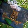 IMG-20240527-WA0006.thumb.jpg.e72a808d8be8700d2bd98c2fcc16ab9c.jpg