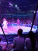 IMG-20240527-WA0008.thumb.jpg.9406026b39b1067a9690ed7a529e52ac.jpg