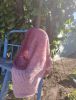 IMG20240510164454.thumb.jpg.846ba8707e3df43f8de56577dcac426d.jpg