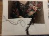 IMG_0974.jpeg