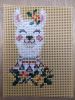 IMG_20230516_205523.thumb.jpg.c9dea3f1cf9d378f43ea396763a40cc9.jpg