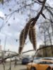 IMG_20240402_101040.thumb.jpg.32d716158292bed1911bb1bfbc3e7850.jpg