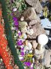 IMG_20240412_085103.thumb.jpg.33650157a27eacaf5ede75461c85af96.jpg