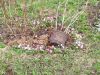 IMG_20240412_085446.thumb.jpg.8ffbaf835c38fc7eb4706d613eb5b9c0.jpg
