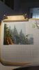 IMG_20240430_071119.thumb.jpg.0039cb9f8d790406614dc30af45b4b7a.jpg