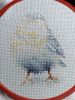 IMG_20240511_005623.thumb.jpg.8cc6d724eed570abb7bc97cda7cb70ce.jpg